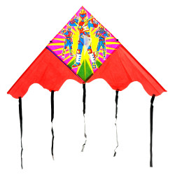 Воздушный змей 466-898