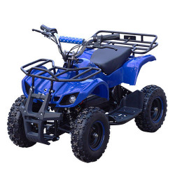 Квадроцикл железный Profi EATV1000 D-4 сине-черный