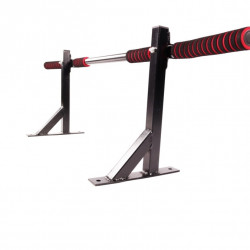 Турник стенка-потолок М 101 SP