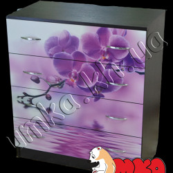 Комод на 4 ящика (темный) с фотопринтом 